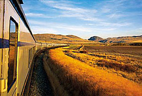 view from amtrak = wheat fields