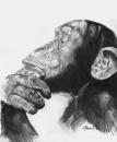 thinker