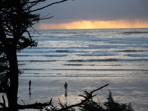 Tofino Sunset