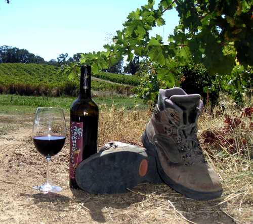 Winehiker