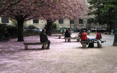 paris, park benches