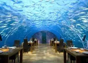 An underwater restaurant with tables and chairs.