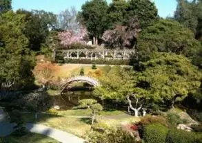 A serene Japanese garden with a bridge and trees.
