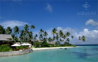 Relax Among The Reefs: Wakatobi Dive Resort, Banda Sea