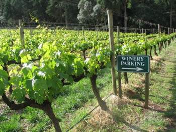 Winery