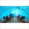 Shark Tale: Hilton Maldives Resort & Spa