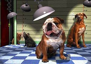 It’s Reigning Dogs: The Wagging Tail, Santa Monica, CA