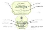wine label