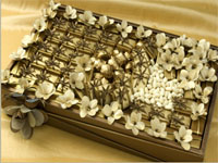 Chocolaty Delight by Patchi