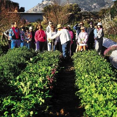 A group of people standing in a vegetable garden.