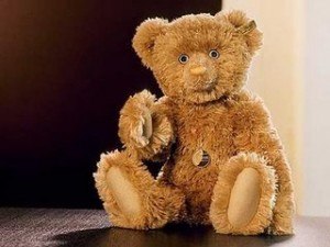 teddy teddy