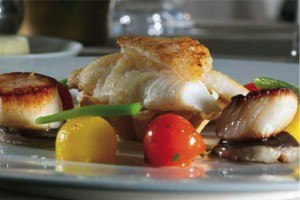 the-terrace-restaurant-2-3-1221295983 the-terrace-restaurant-2-3-1221295983