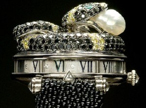 zadorasnakewatch zadorasnakewatch